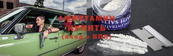 соль ск Новозыбков