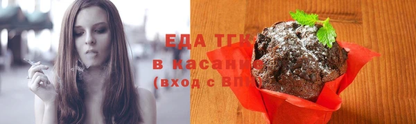 соль ск Новозыбков