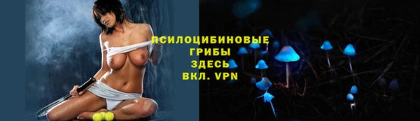 apvp Новокубанск