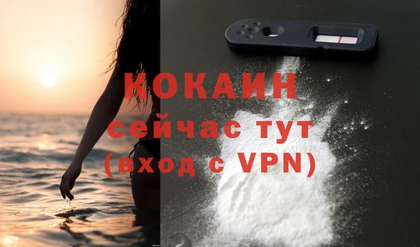 соль ск Новозыбков