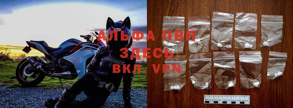 соль ск Новозыбков