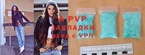 соль ск Новозыбков