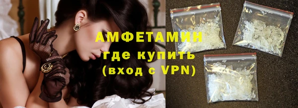 соль ск Новозыбков