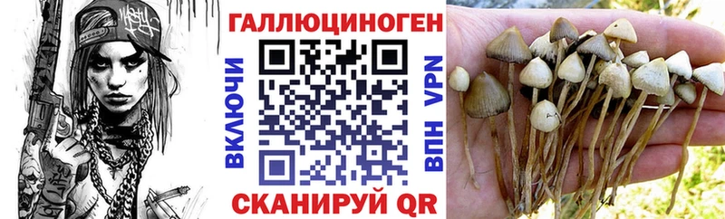 Псилоцибиновые грибы Psilocybine cubensis  как найти   маркетплейс клад  Полевской 