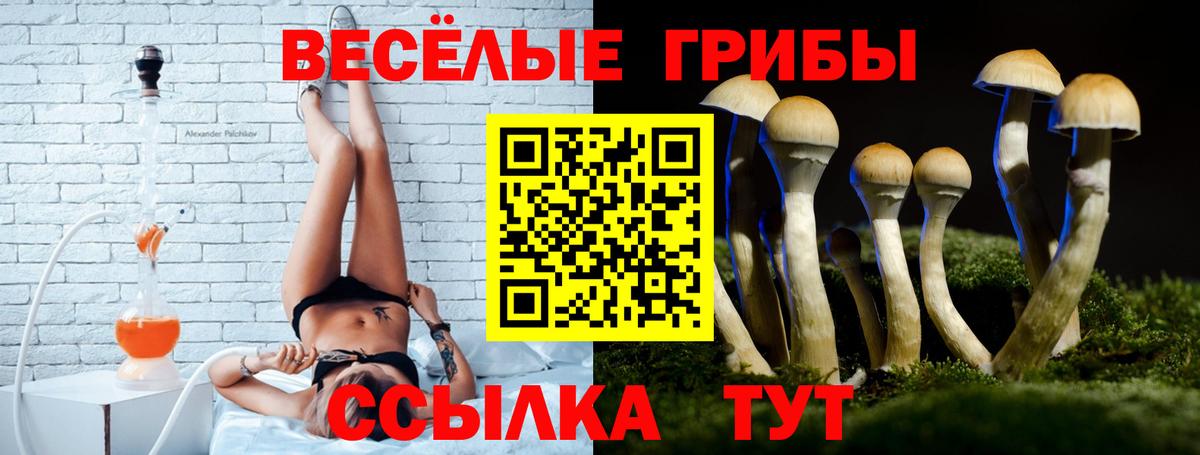 Полевской  Галлюциногенные грибы Psilocybe  Галлюциногенные грибы Cubensis  Вход с VPN 